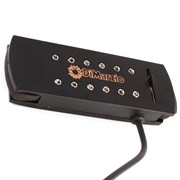 DiMarzio Virtual Acoustic™ Pickup